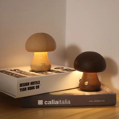 lampe champignon sur petite table de lecture